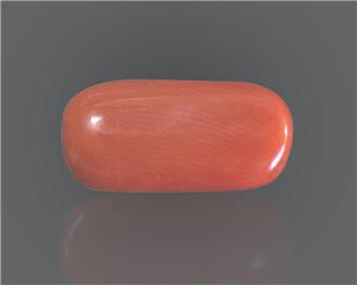 Natural Coral  8.84RTS-27396